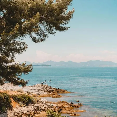 Seasons Suite Antibes Centre شقة *